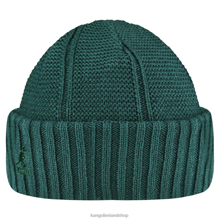 IE Kangol Hidden Label Pull-On Pine Unisex Accessories 6B26V816