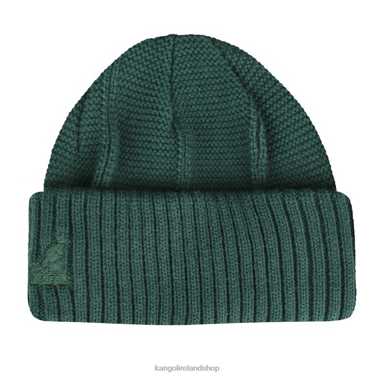 IE Kangol Hidden Label Pull-On Pine Unisex Accessories 6B26V816