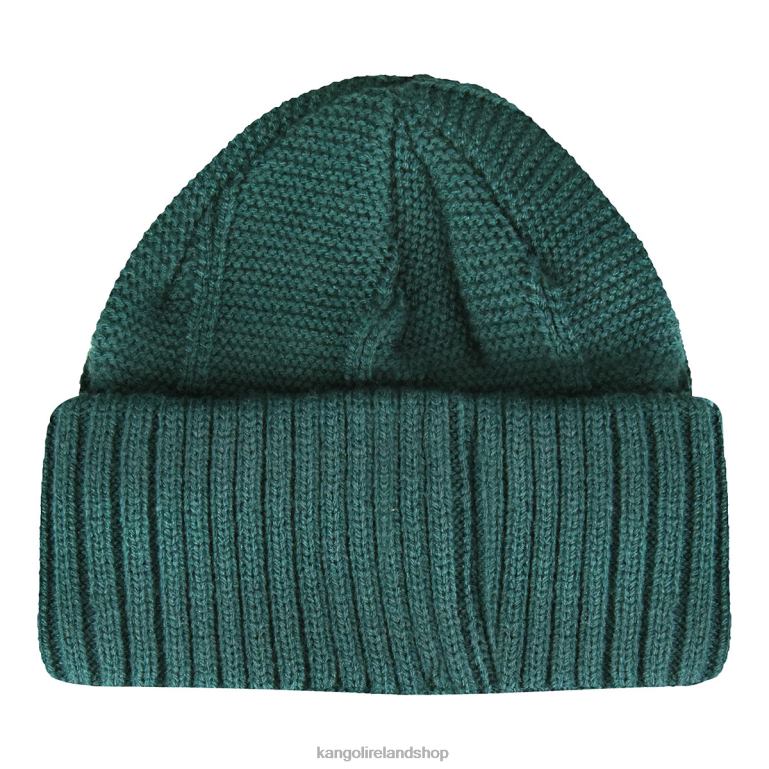 IE Kangol Hidden Label Pull-On Pine Unisex Accessories 6B26V816